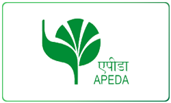 cert-logo-2